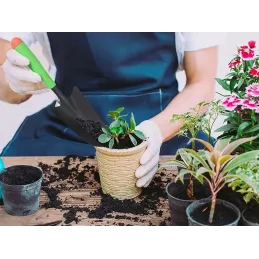 Petite pelle de jardinage manuelle PLANT / Verte