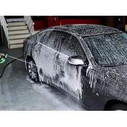 Pistolet haute pression pour le lavage de voiture avec réservoir de détergent / Vert