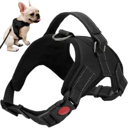 Harnais de sécurité sans pression pour chiens HASEN / Noir