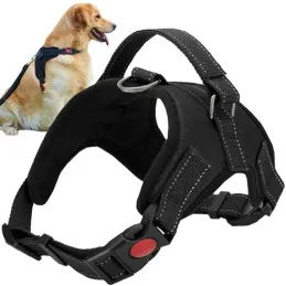 Harnais de sécurité sans pression pour chiens HASEN / Noir