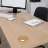 Hêtre