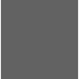 Plan de travail PFLEIDERER gris anthracite / U12290 SD