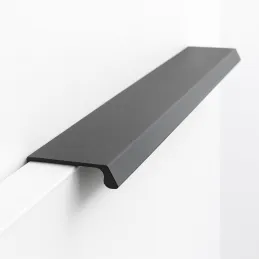 Poignée de bord DELICIO / Noir graphite