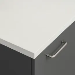 Plan de travail PFLEIDERER ABS PERFORM 20 mm Quartz clair / F73009