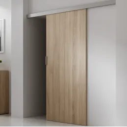 Kit pour une porte / STANDARD 100 kg