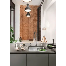 Mitigeur Blanco CATRIS S FLEXO / chromé / douchette avec inverseur