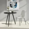 Noir mat