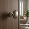 Nickel brossé