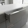 Nickel brossé