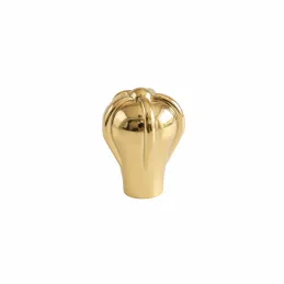 Poignée bouton en plastique CROWN / Doré