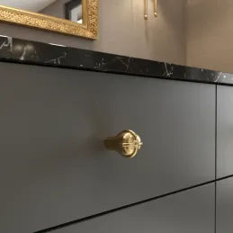 Poignée bouton en plastique CROWN / Doré