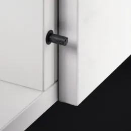 Piston pour l’ouverture sans poignée des portes MOVE Mini / Anthracite