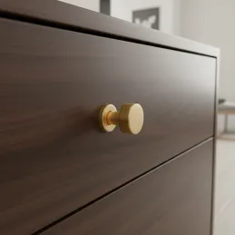 Bouton de meuble RIOX / Or brossé