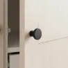 Noir mat