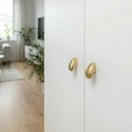 Bouton de meuble BEATRIZ / Doré brossé