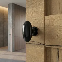 Bouton de meuble ALFREDO / Anthracite brillant