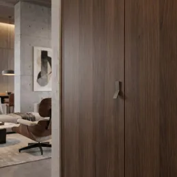 Bouton de meuble ZION / Anthracite mat ан