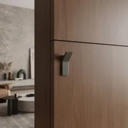 Bouton de meuble ZION / Anthracite mat ан