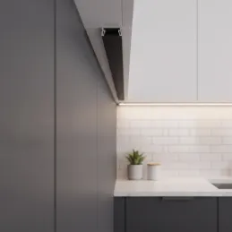 Profilé en aluminium ZARIA pour éclairage LED avec diffuseur noir / Noir mat