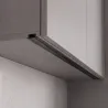 Noir fumé