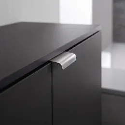 Poignée de chant de porte BELLA / Acier inoxydable