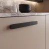 Chêne noir