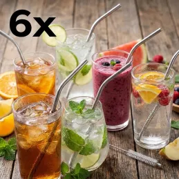Set de 6 pailles en inox pour boissons / Inox
