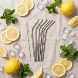 Set de 6 pailles en inox pour boissons / Inox