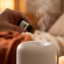 Set de 6 huiles parfumées pour diffuseurs d'arômes / 10 ml