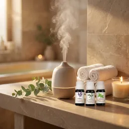 Set de 6 huiles parfumées pour diffuseurs d'arômes / 10 ml