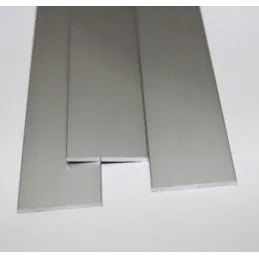 Feuillard plat de base 50 x 2 x 2000 mm