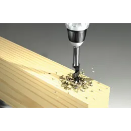 Mèche à bois hélicoïdale D-WL