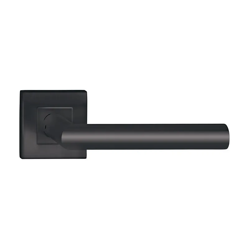 Poignée de porte en acier inoxydable VISION H / Noir mat