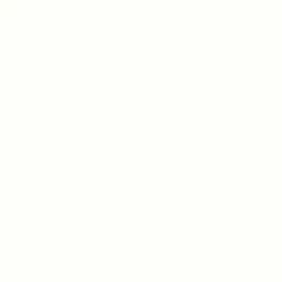Plan de travail compact Solid Blanc alpin (noyau blanc) / W1101/ST76