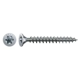 Vis à bois autotaraudeuse TORX nickelée / 100 pièces