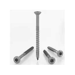 Vis à bois autotaraudeuse TORX nickelée / 100 pièces