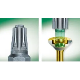 Vis à bois autotaraudeuse TORX nickelée / 100 pièces