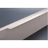 Acier inoxydable