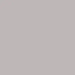 ABS Nourriture dauphin gris SUPER MAT / U12044XM