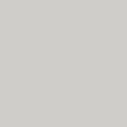 Cloison PFLEIDERER Gris clair / U12187 SD