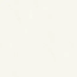 Nourriture ABS India Blanc / S63045 MS