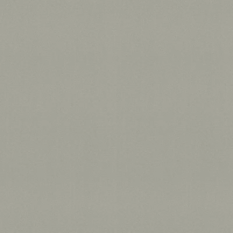 Panneau d’aggloméré PFLEIDERER Suit gris clair / F73036 ML