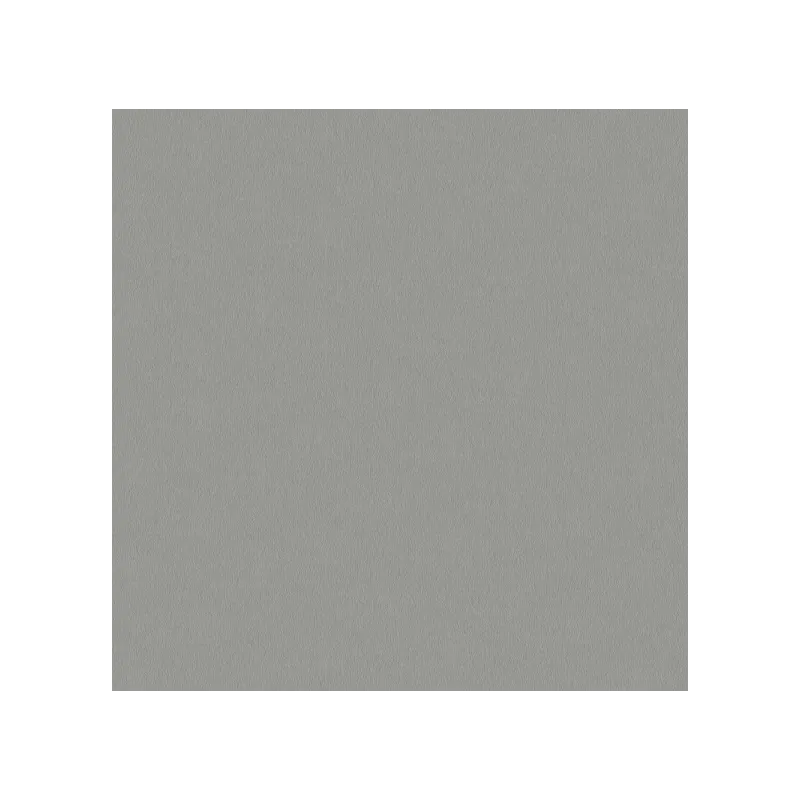 Panneau en aggloméré PFLEIDERER Inox gris / F76112 SM