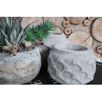 Pots de fleurs